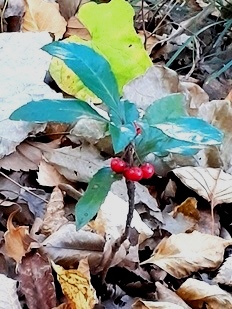 ��Ԃ�����